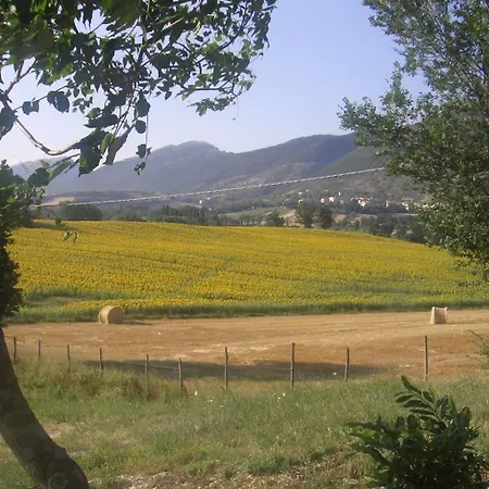 Pascolo Costacciaro