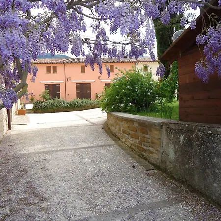 Pascolo * Costacciaro